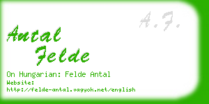 antal felde business card